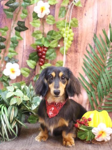 20230820ロイくん